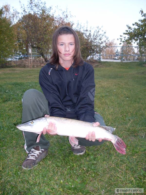 �tika 80 cm  
