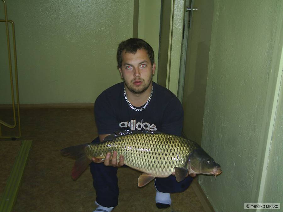 kapřík