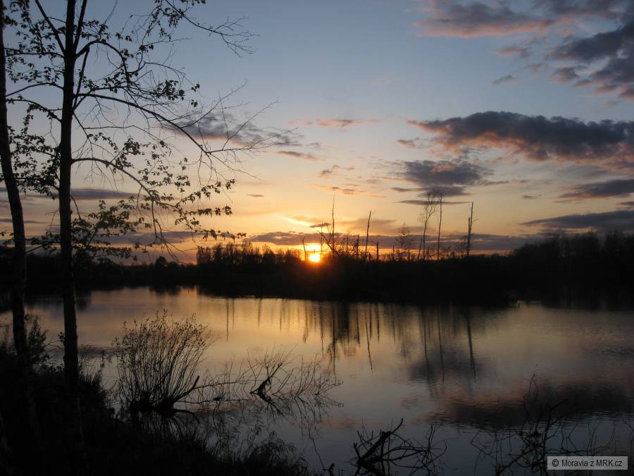 Vlk.Pískovny