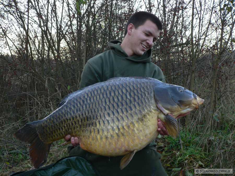23,4 kg osobák