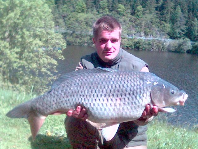 kapr 81cm 10kg