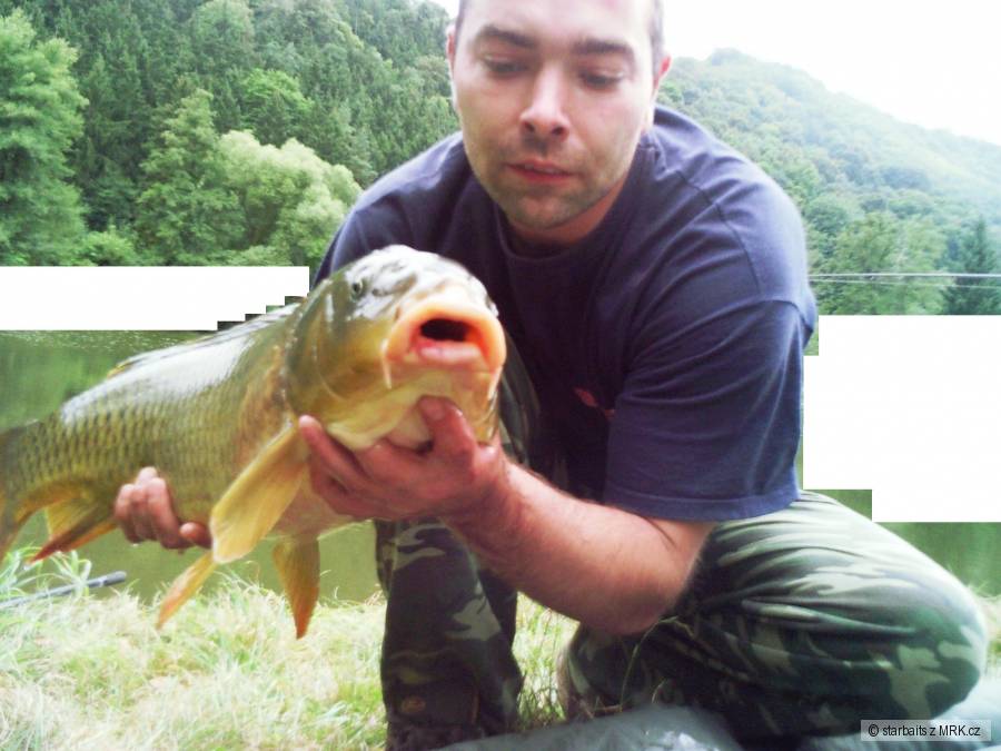 8,5 Kg