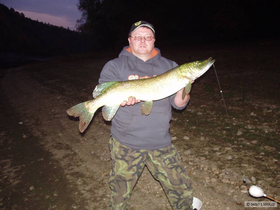 štika 98cm