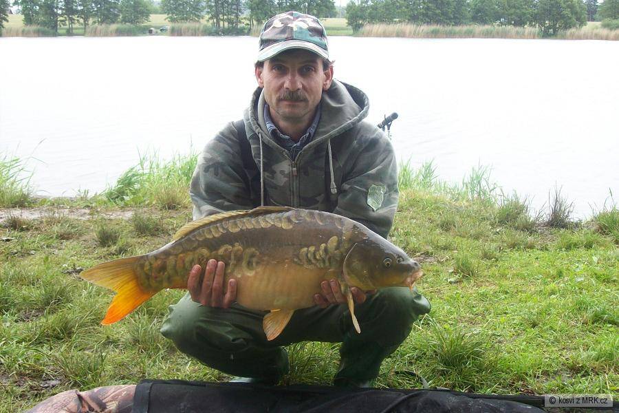 65cm 6,2kg