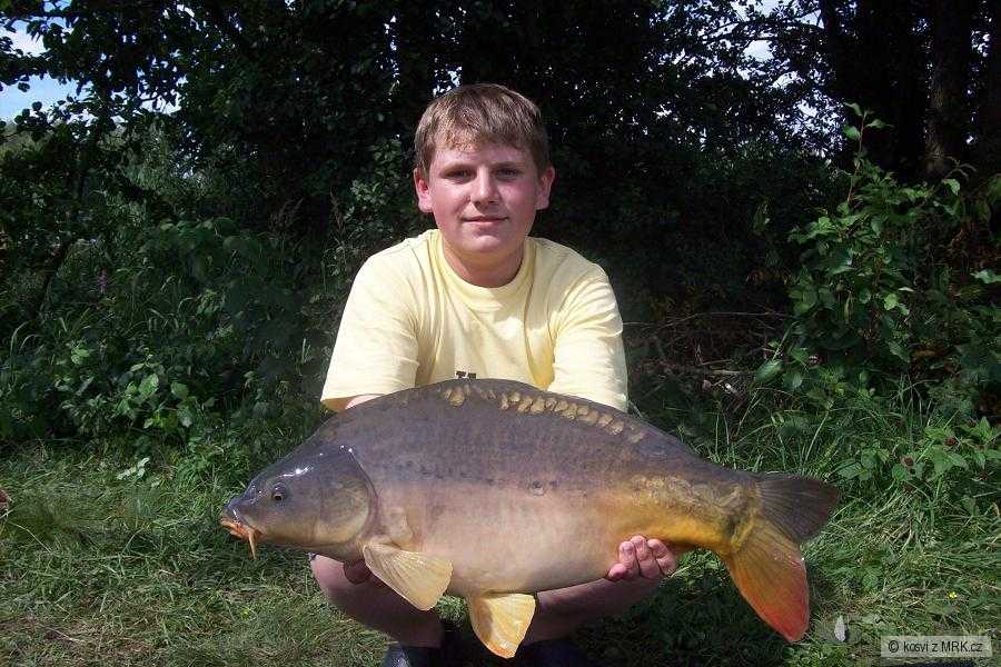 69cm 6,1kg