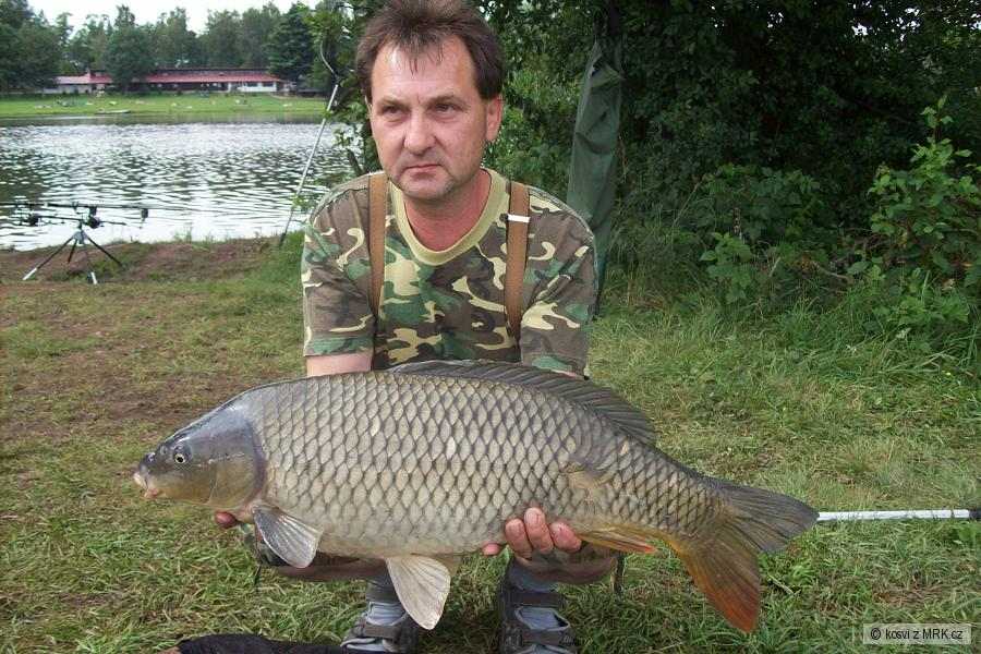 72cm 6,6kg