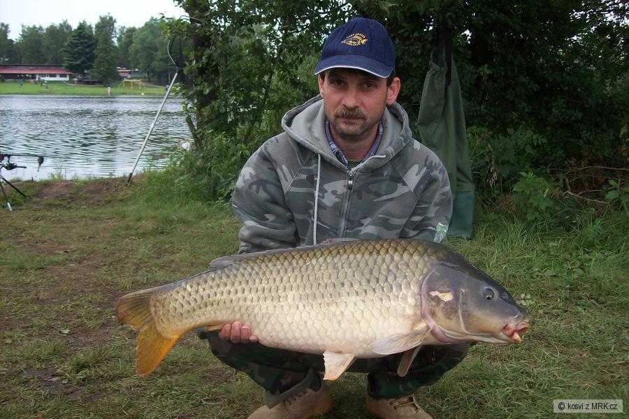 86cm 11kg