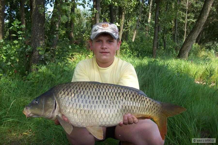71cm 6,8kg