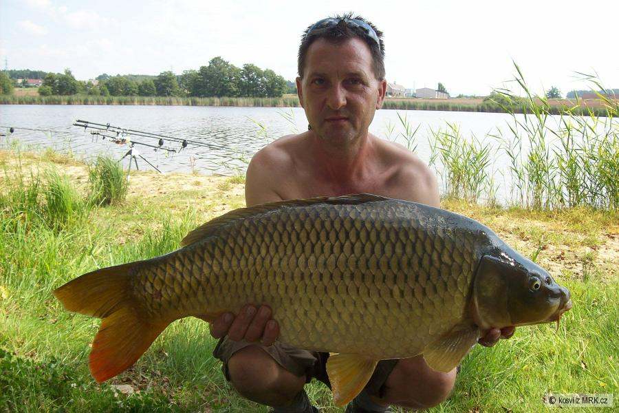 74cm 9,9kg