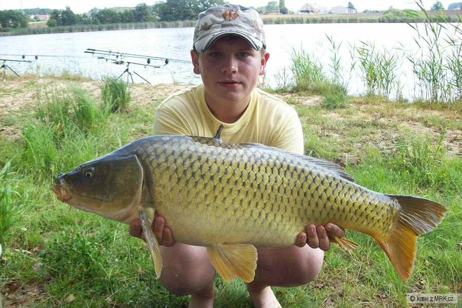 77cm 7,80kg