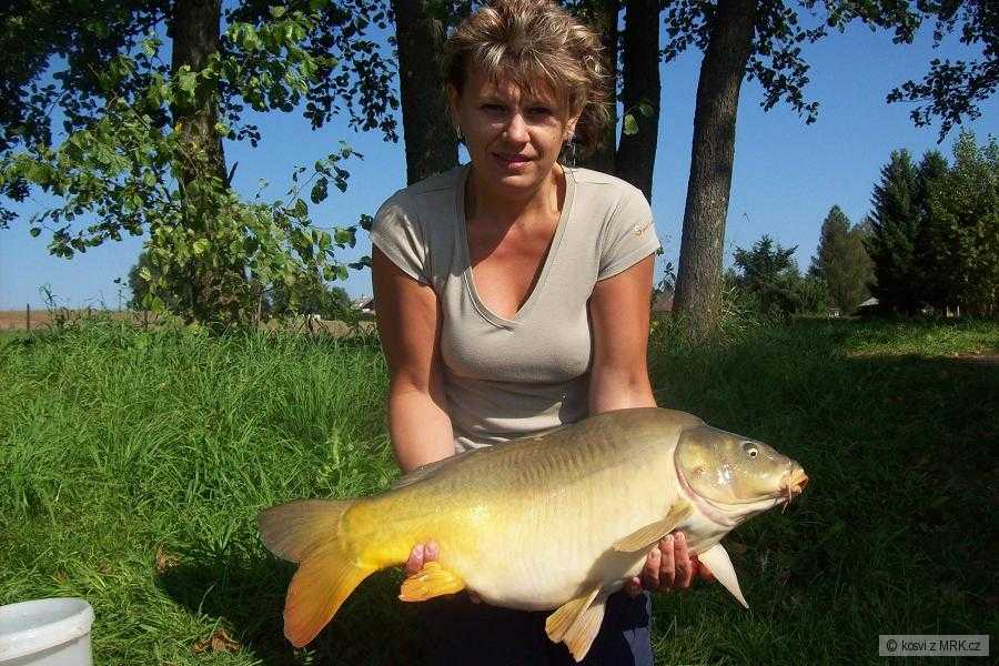 73cm 8,3kg