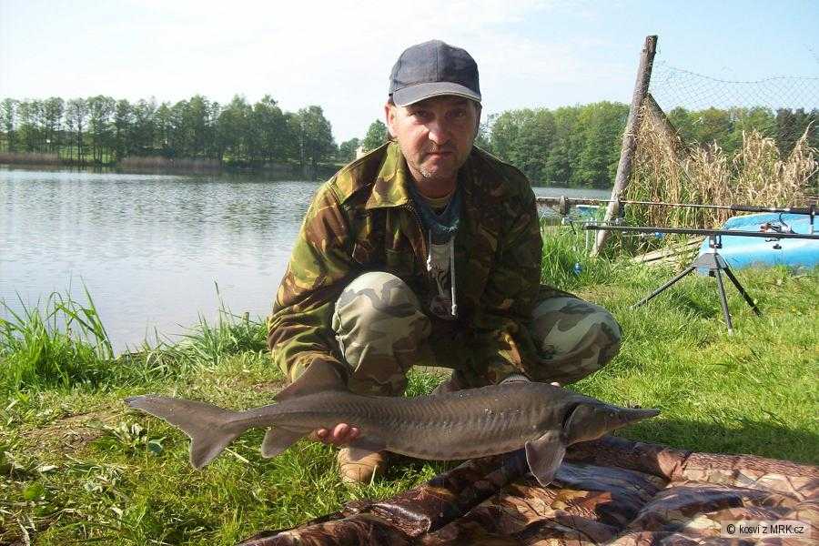 94cm 3,6kg