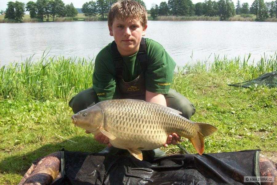 63cm 5kg