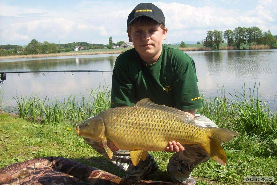 71cm 6,2kg