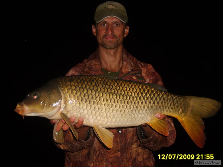 74cm-8kg