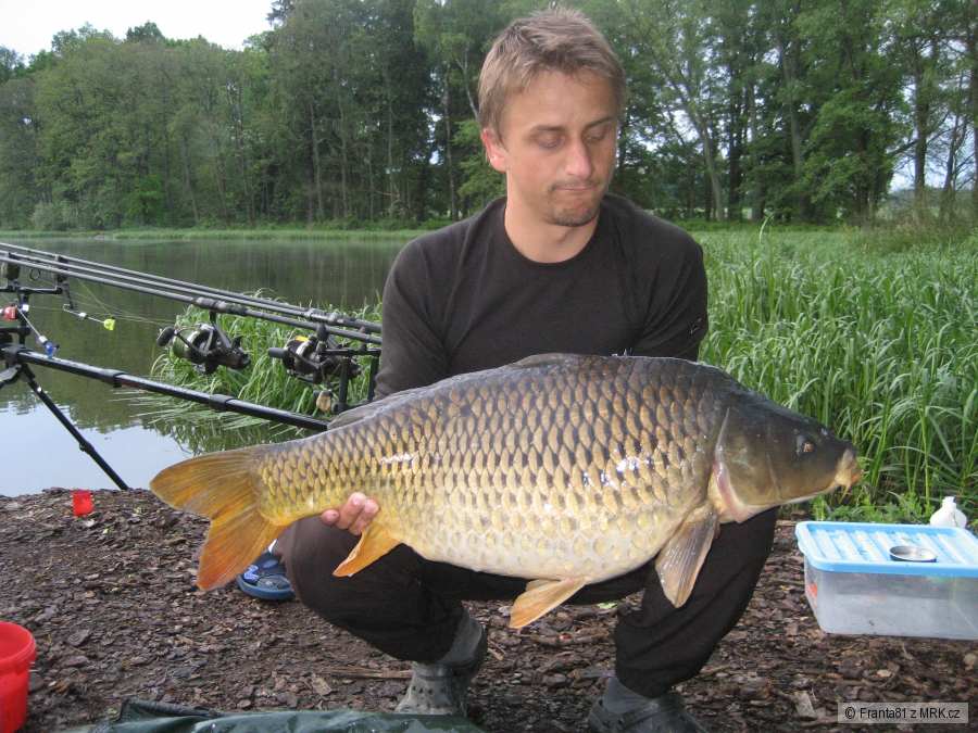 80 cm,13 kg