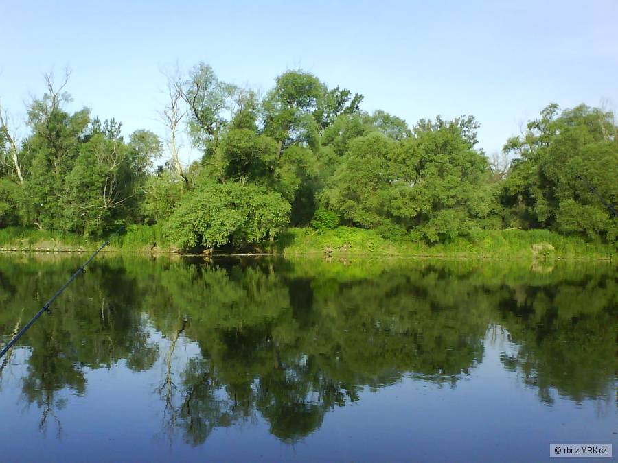 krasa