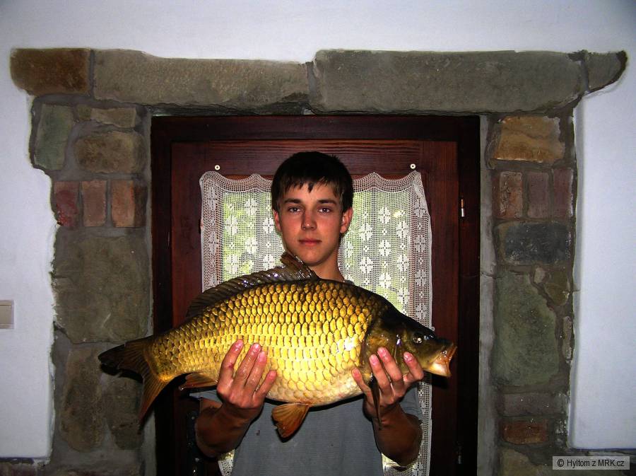 Kapr obecný - 66 cm, 7,5 kg