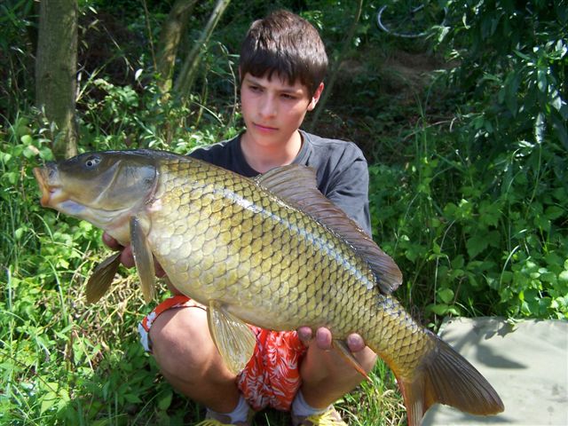 Tovačovská jezera