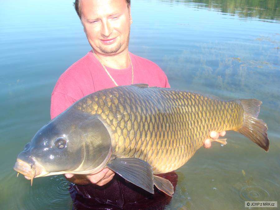 Kapr 93cm,Tovačov,2009