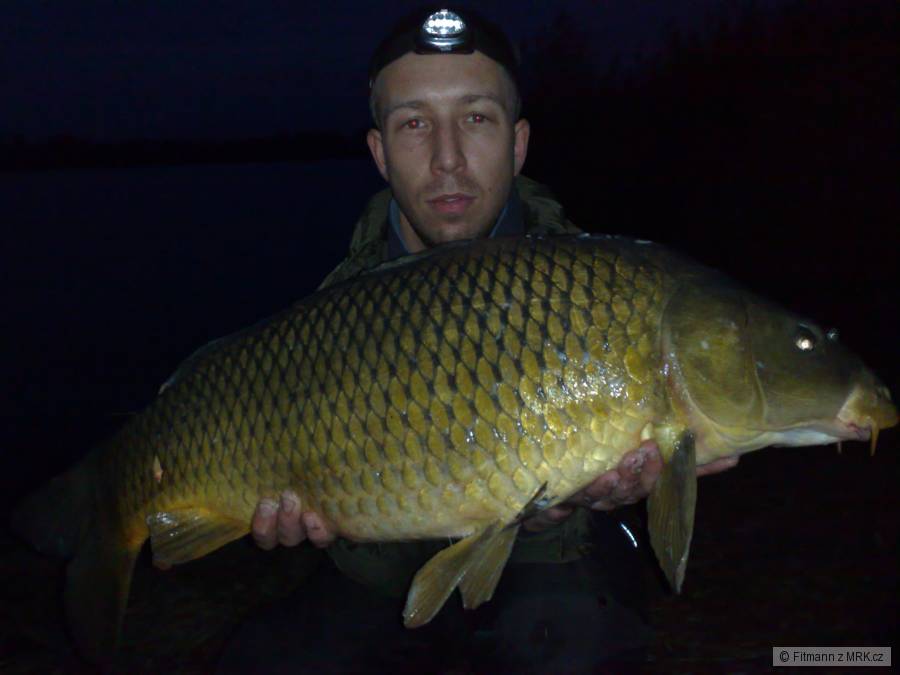 kapr 11kg 82cm