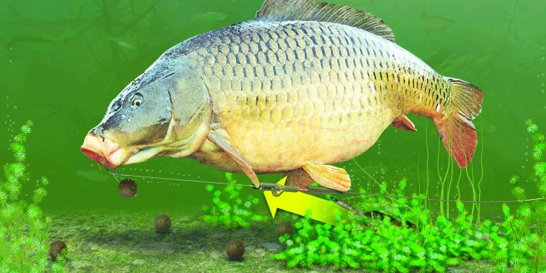 Korda