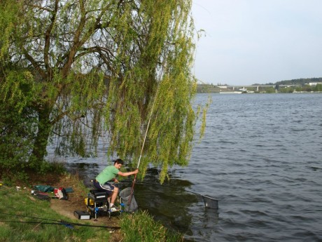 Plze�sk� Plav��ek