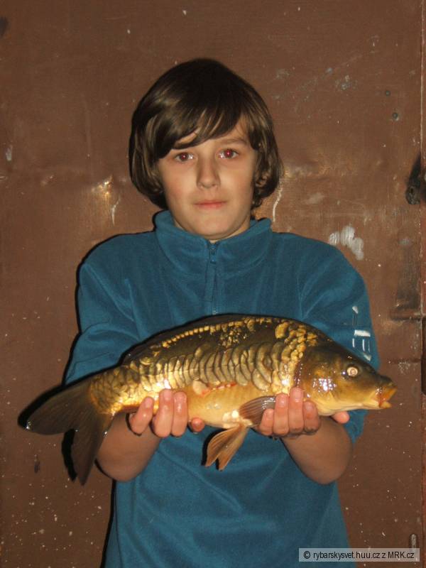 peknej kaprik 48cm