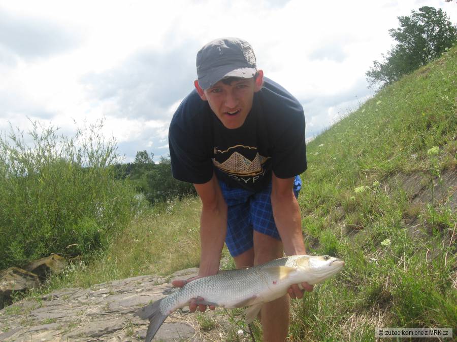 boleňík