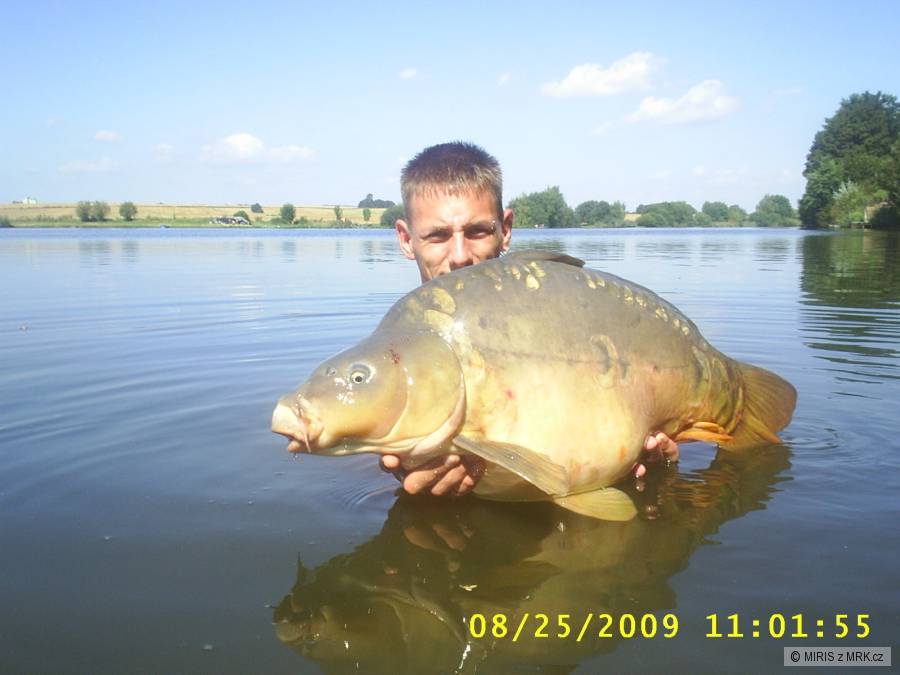Kapřík