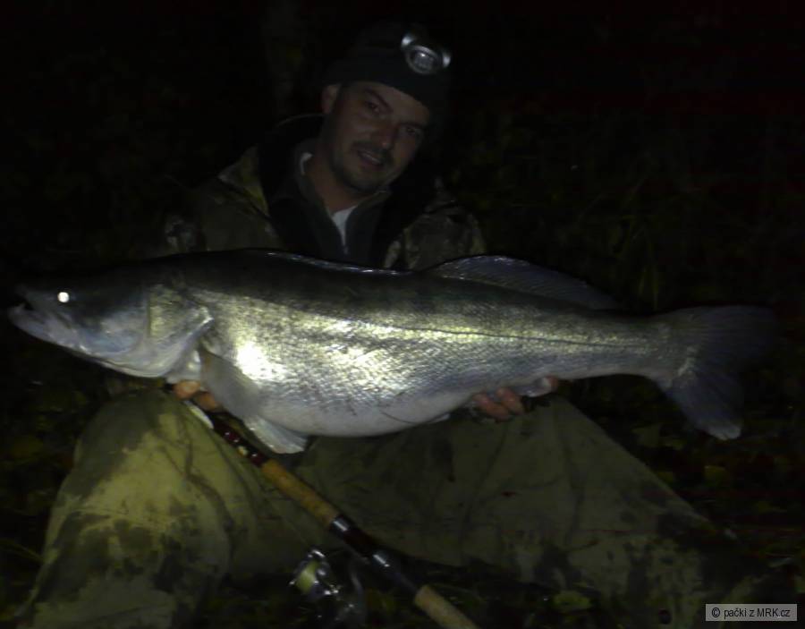 zubko93,9kg