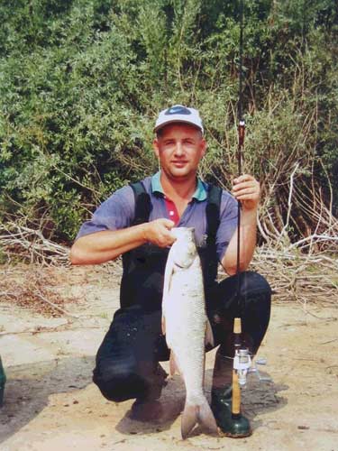 Bolen 73 cm