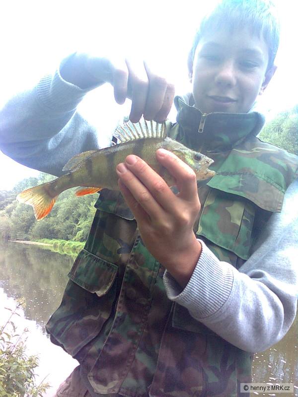 Okoun ���n�