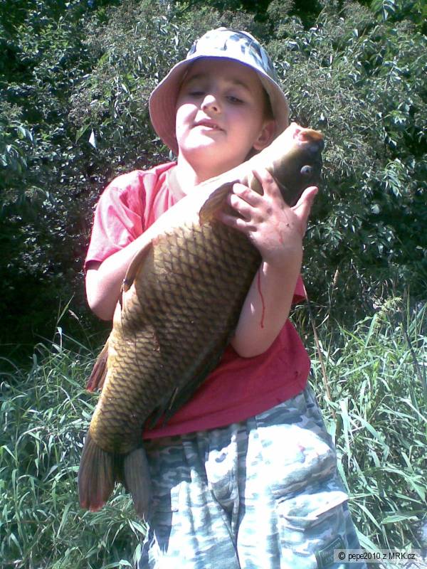 kapr 63 cm