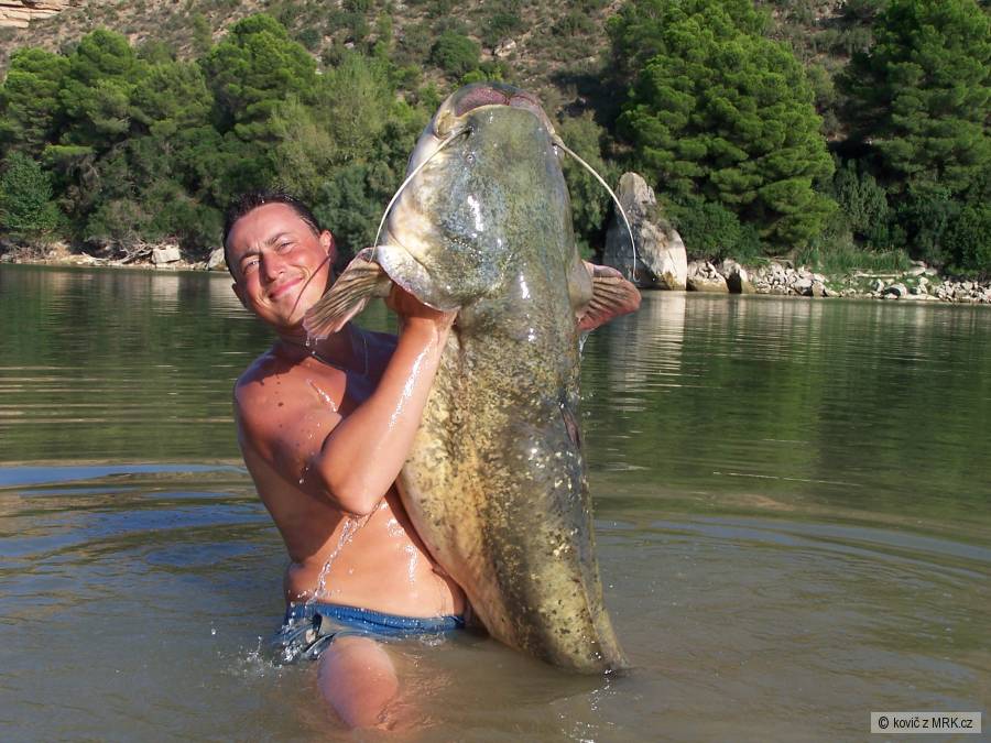 sumec osobák.206cm nevážen