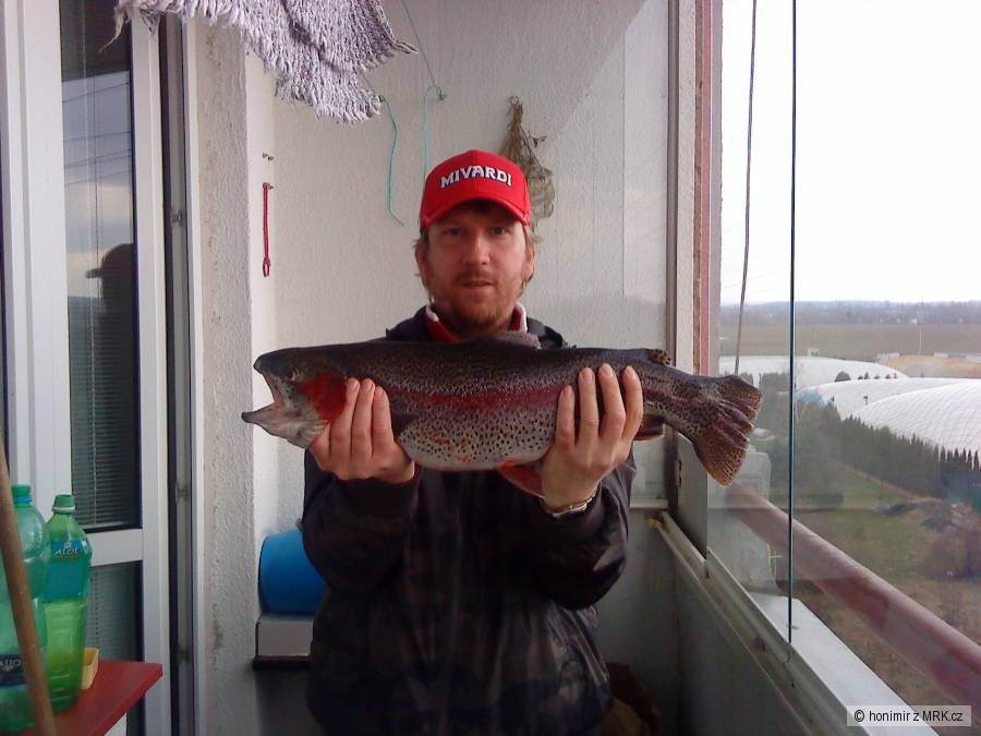 pstruh 60cm