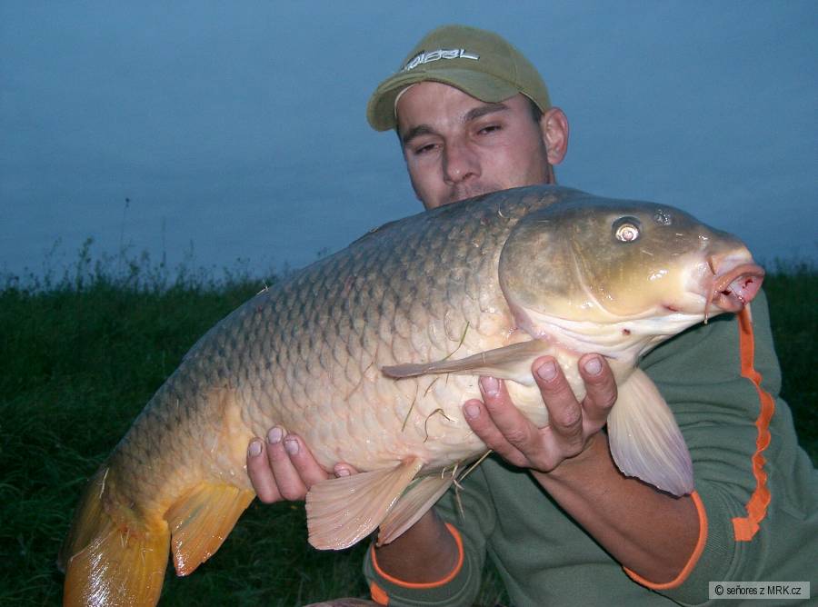 Morava