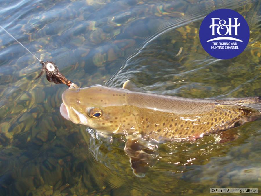 Fishing & Hunting