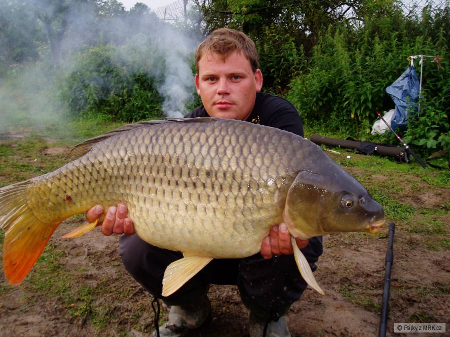 15 kg