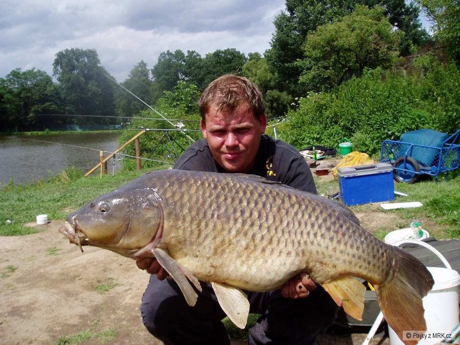 17 kg