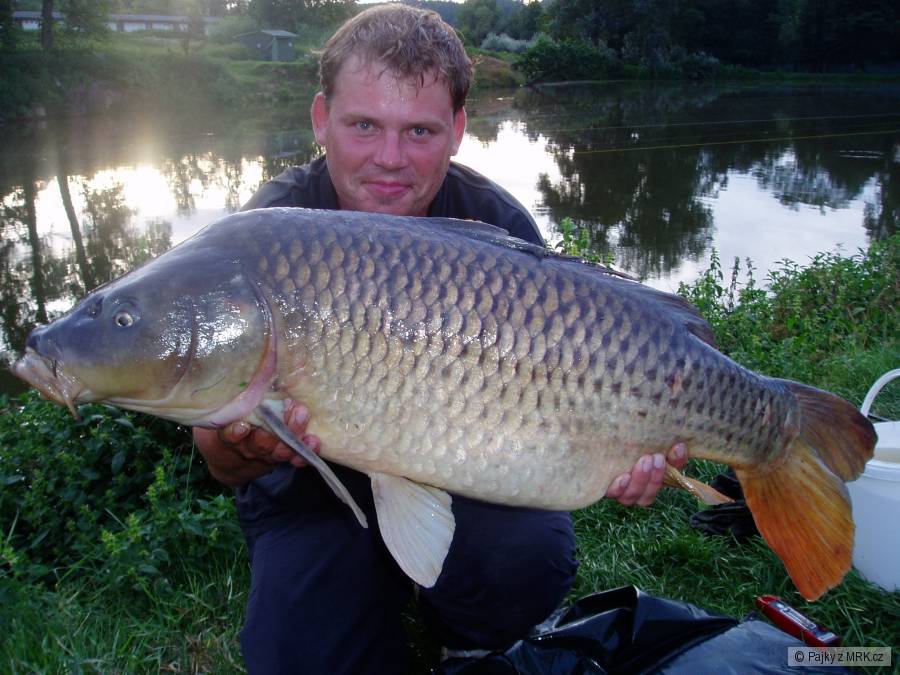 16 kg