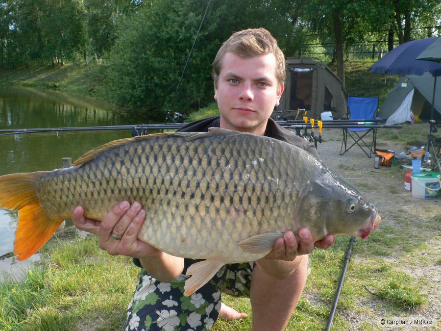 sice 8Kg ale krásný