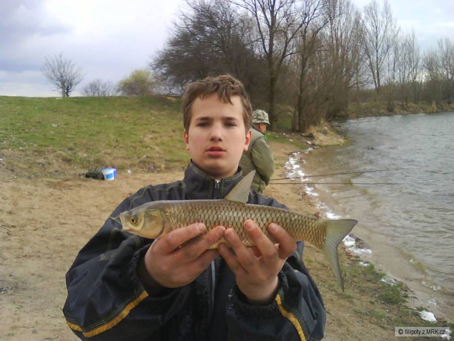 amur