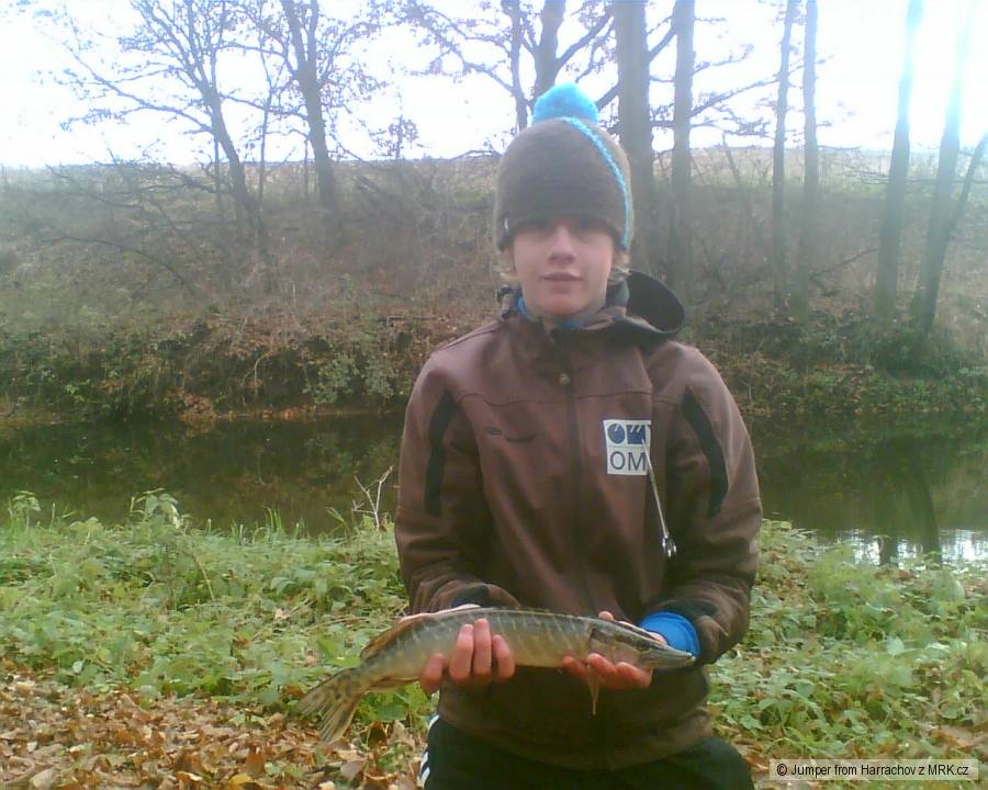 štika cca. 55 cm