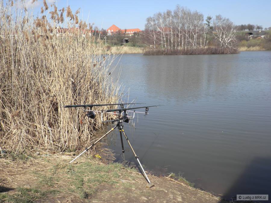 Rokytna