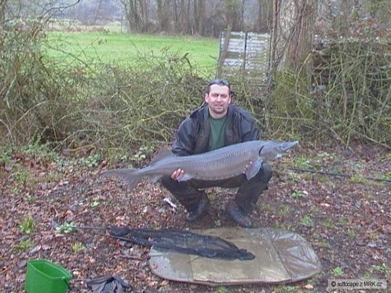20 kg.....