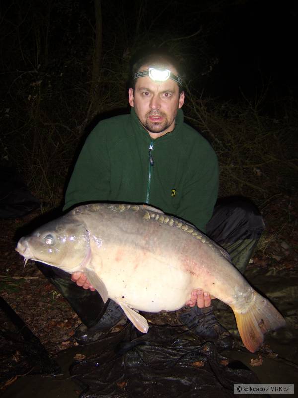 14.5 kg...........