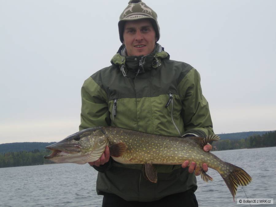 Štika 90cm