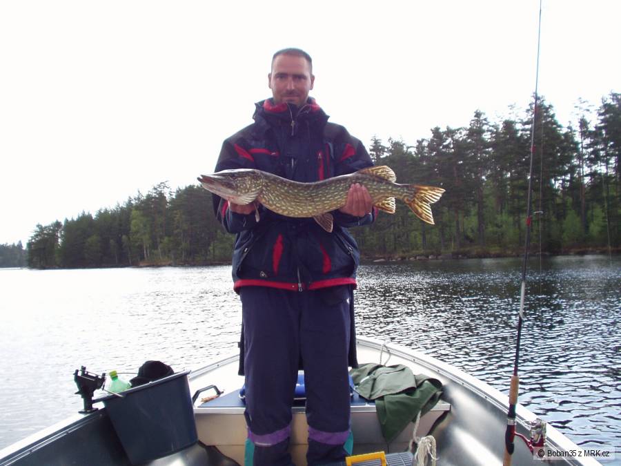 Štika 92cm