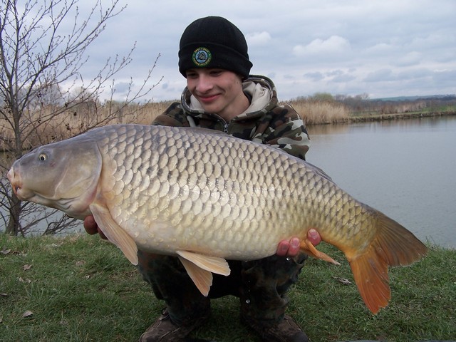82cm